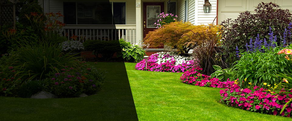 Hastings Landscapers